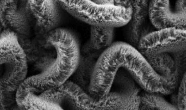 行业新闻：可拉伸的超等电容器，，，，，，，，为柔性可衣着装备铺路